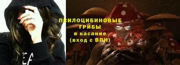 эйфоретик Абаза