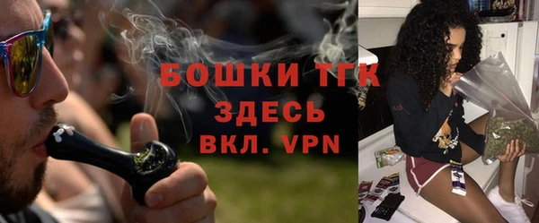 PSILOCYBIN Алзамай
