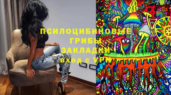 стафф Алексин