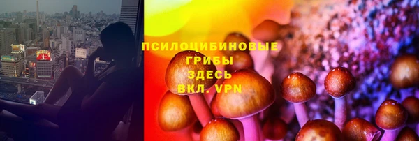 PSILOCYBIN Алзамай
